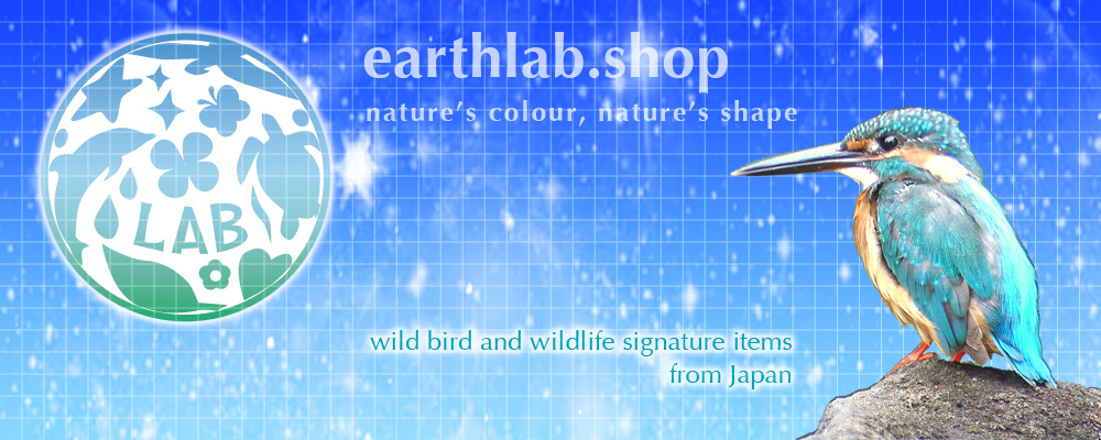 Earth Lab shop